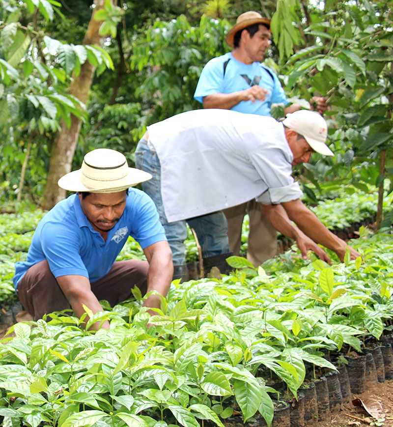 Protección de los recursos naturales - El Faro - Canal de Panamá