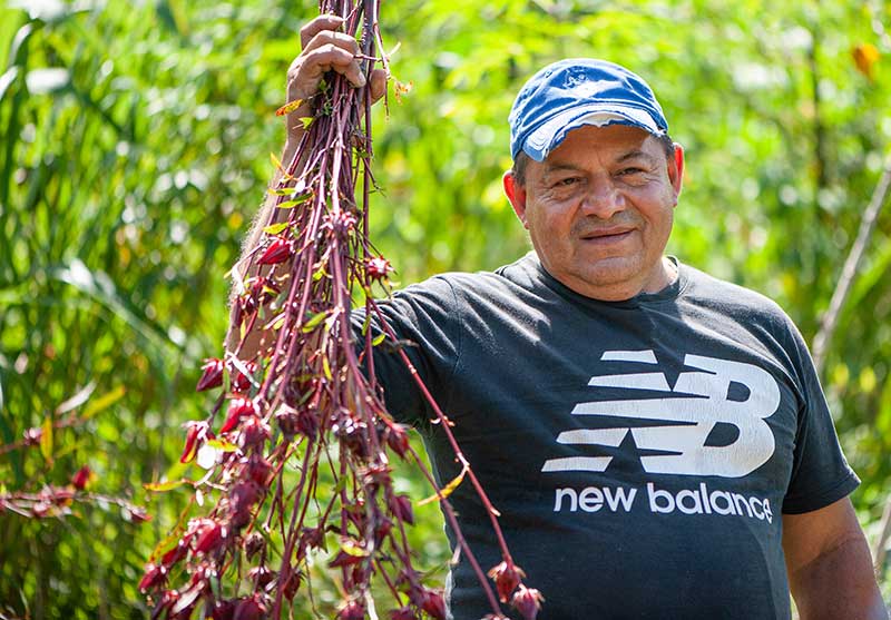 Siembra comunitaria en el corazón de Chilibre - El Faro - Canal de Panamá