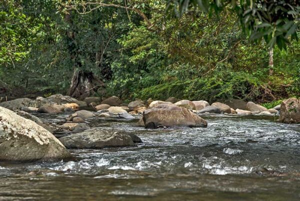 Serie de documentales - Donde nace el agua - Canal de Panamá