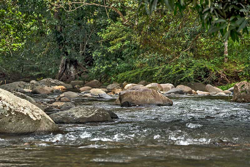 Serie de documentales - Donde nace el agua - Canal de Panamá