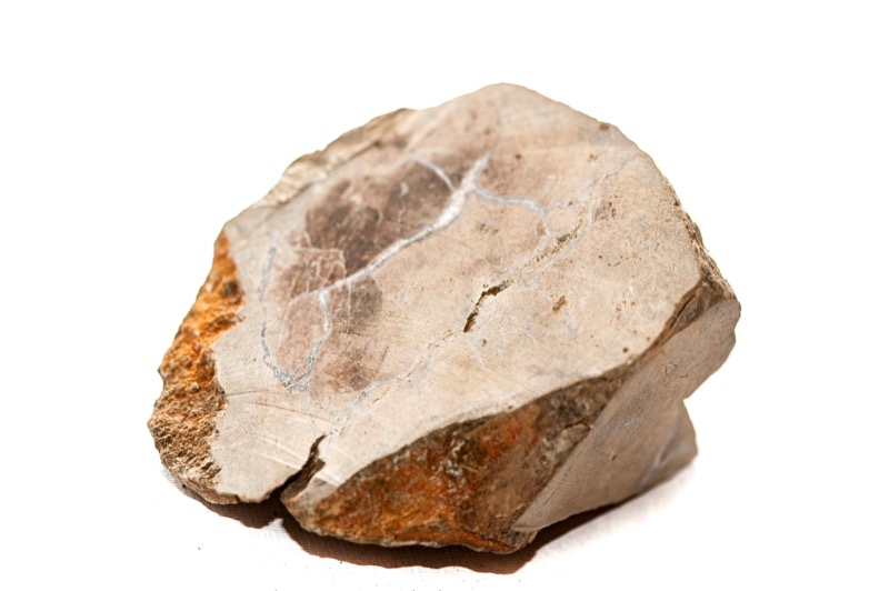 Samples of history