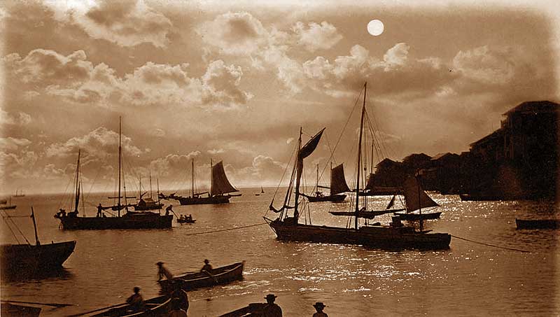 El Canal, Bicentenario, y las artes