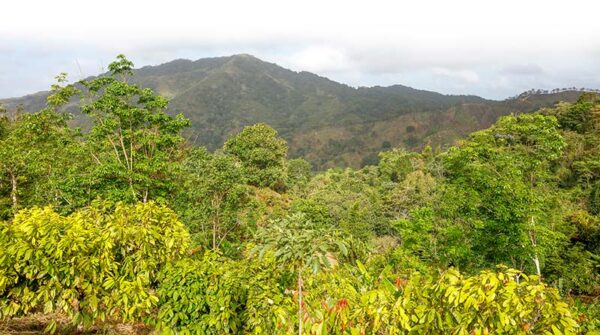 Un programa ambiental que cambia vidas - El Faro - Canal de Panamá
