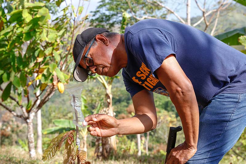Un programa ambiental que cambia vidas - El Faro - Canal de Panamá