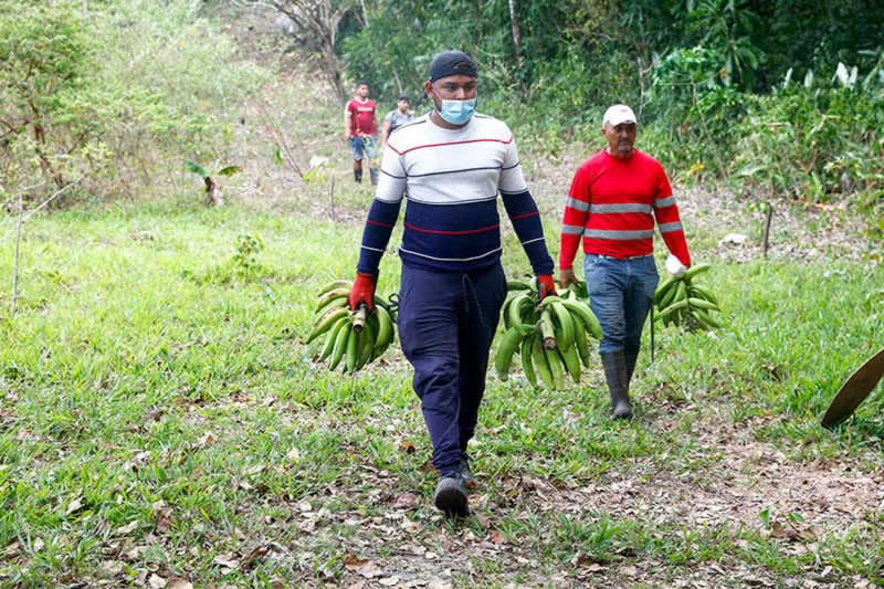 Un programa ambiental que cambia vidas
