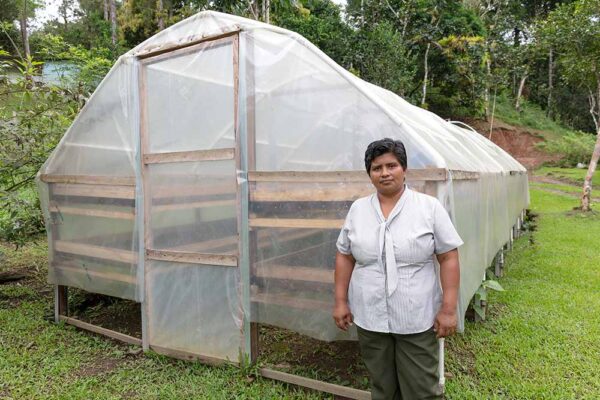 The coffee trade boom in the basin El auge del comercio del café en la cuenca