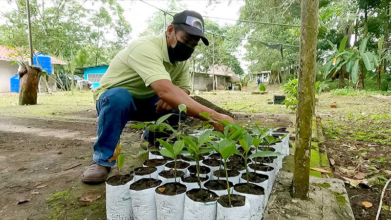 Renovación estratégica con un toque verde - El Faro - Canal de Panamá