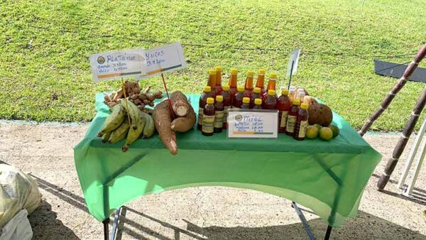 Comercio sostenible con sello de la cuenca - Canal de Panamá