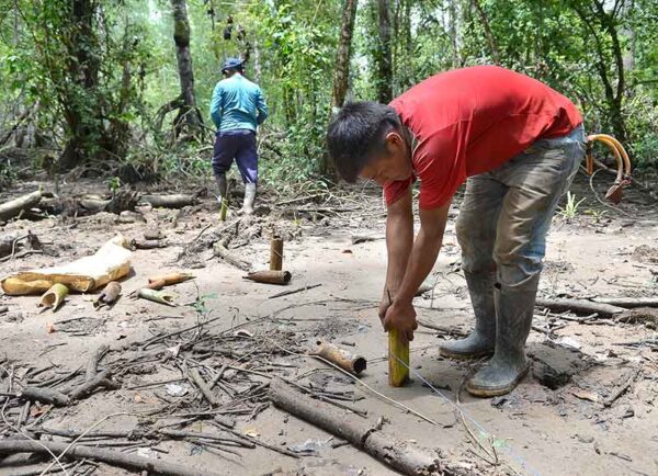 Reforestación, promesa de la ampliación del Canal