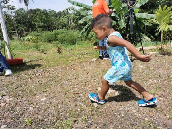 De basureros a jardines