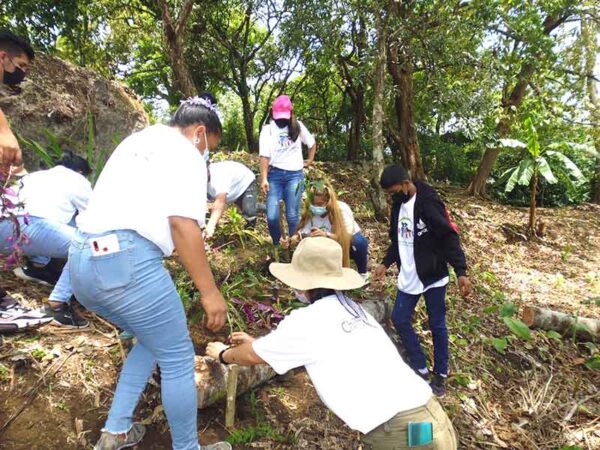 Establecimiento de jardines en Chilibre.��