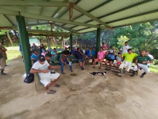 Acciones en las áreas de cota 100 y 260