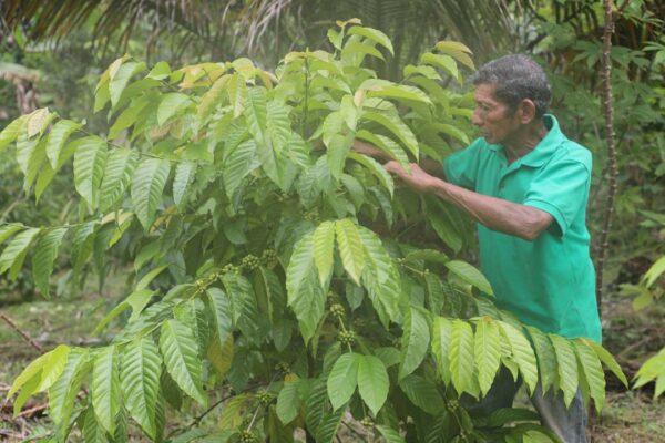 Premian al Mejor Productor de Agricultura Familiar 2022 - Canal de Panamá