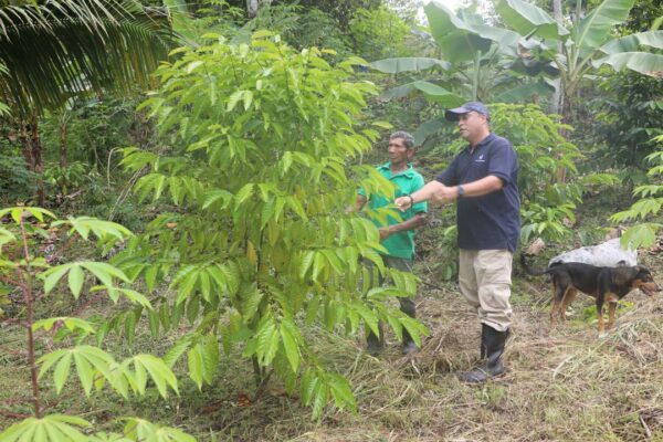 Premian al Mejor Productor de Agricultura Familiar 2022 - Canal de Panamá