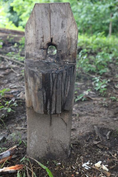 Premian al Mejor Productor de Agricultura Familiar 2022 - Canal de Panamá