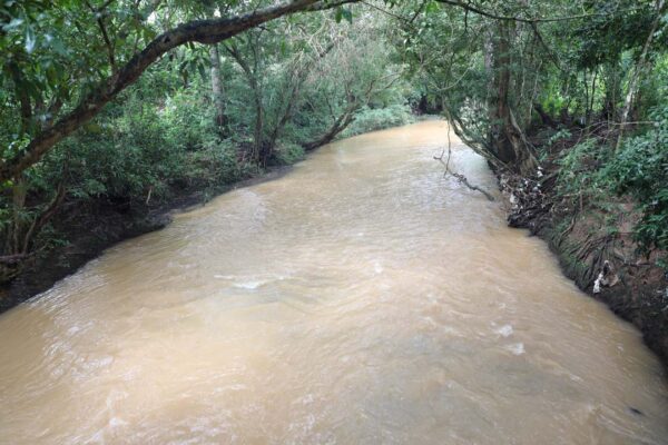 Premian al Mejor Productor de Agricultura Familiar 2022 - Canal de Panamá