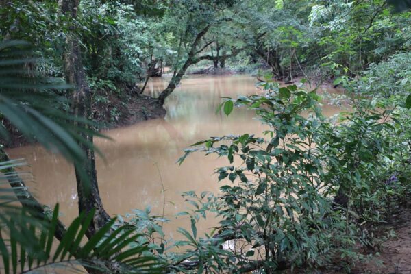 Premian al Mejor Productor de Agricultura Familiar 2022 - Canal de Panamá