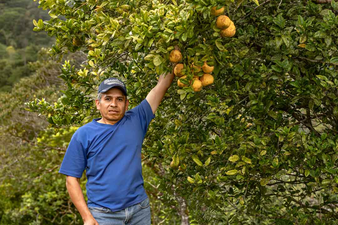 Ecoturismo y emprendimiento en la Cuenca del Canal