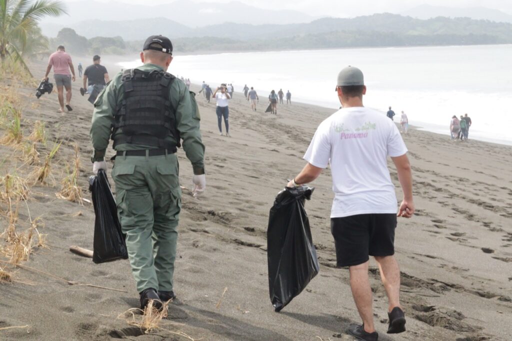 Canal de Panamá apoya la conservación de las tortugas marinas - Revista El Faro