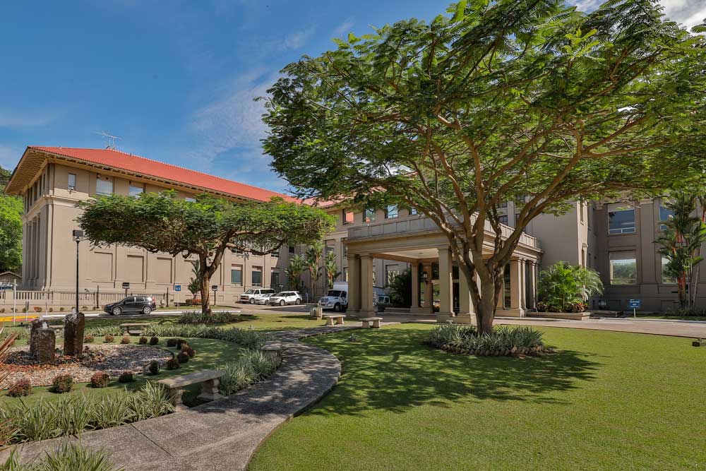 La elegancia del flamboyán en el canal